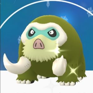 Meet your Posher, Erica